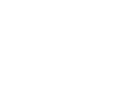 Gorilla Glass